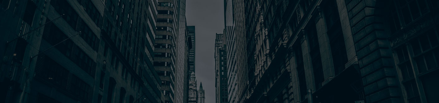 Том 5, № 2 (2024)